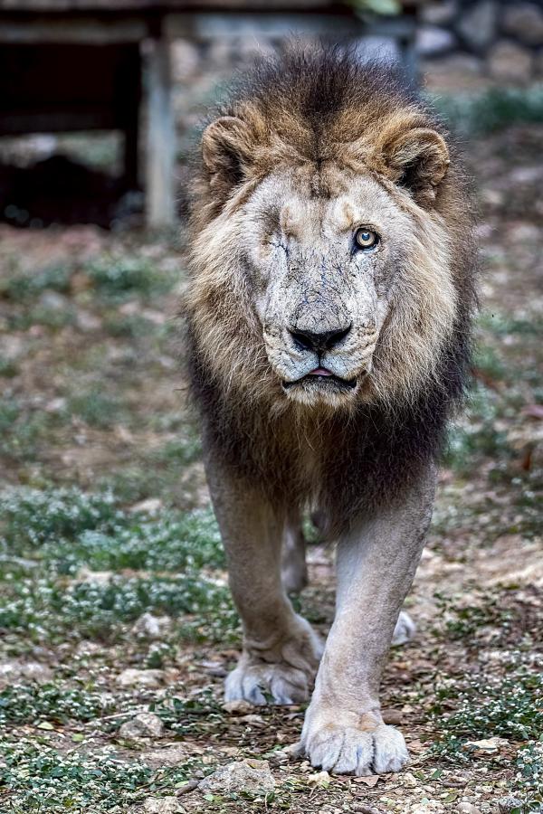 20260415162208 23db85c6