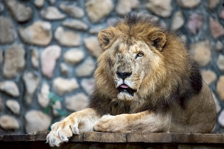 20260415162941 023a34e9