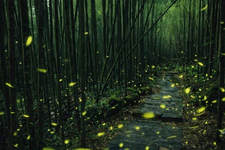 20260417194537 15e19f10