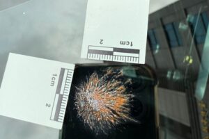 MEITU 20260418 085703909 300x200 1