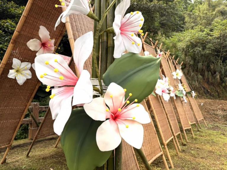 20260418200049 01d7e674