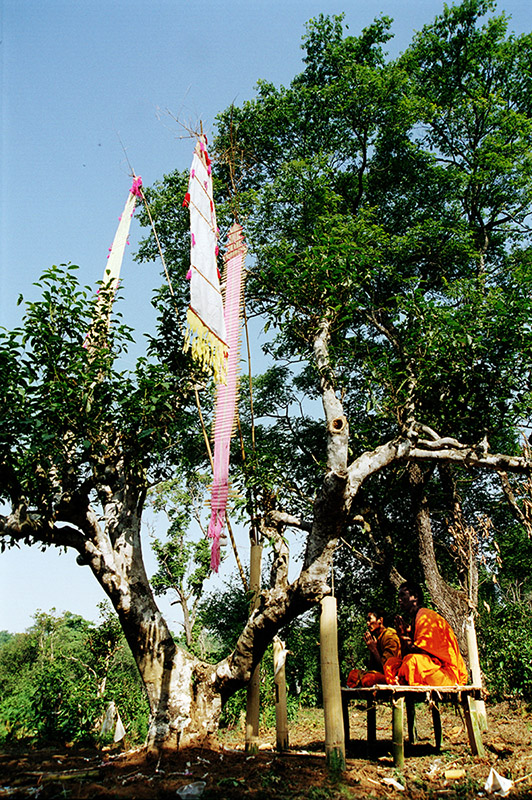 %E6%99%AE%E6%B4%B1%E5%B0%8B%E8%AB%B8%E8%91%9B%E4%B8%9E%E7%9B%B8%E6%9C%AA%E9%81%8701