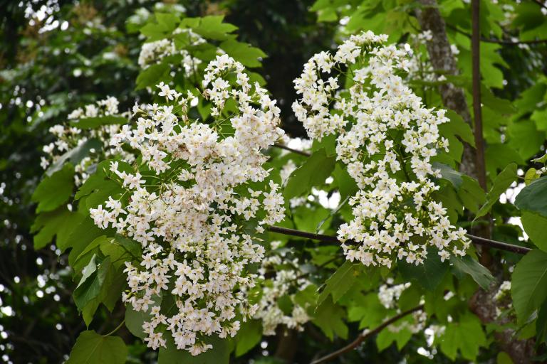 20260419152637 8ed63382