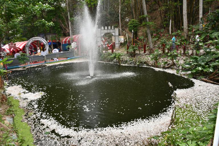 20260419152647 69159364