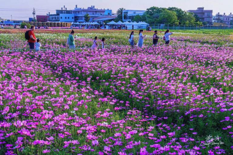 20260420190452 701bb0f3