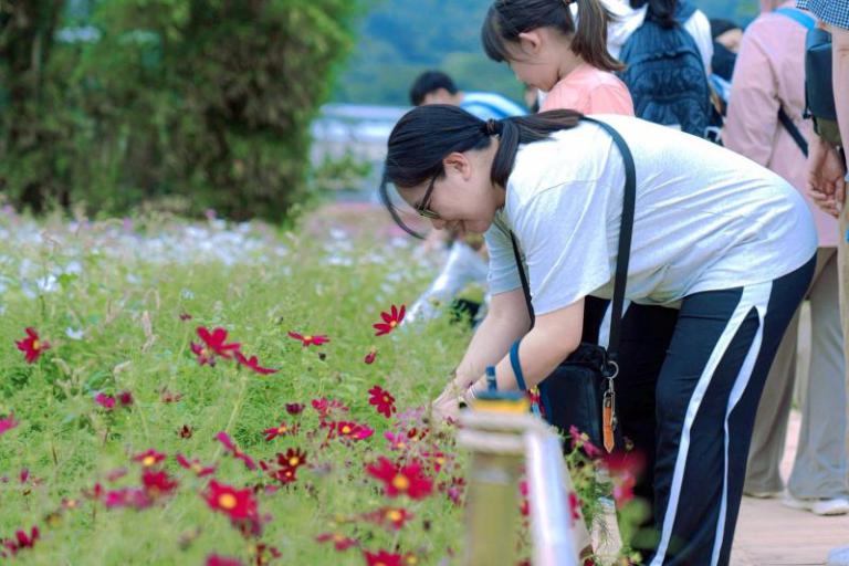 20260420190600 8ffa438b