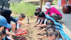 %E5%9C%969%E5%B0%8F%E6%9C%8B%E5%8F%8B%E6%92%AD%E4%B8%8B%E5%8F%97%E8%84%85%E6%A4%8D%E7%89%A9%E7%A8%AE%E5%AD%90%E7%90%83%E8%B1%A1%E5%BE%B5%E6%92%AD%E4%B8%8B%E5%B8%8C%E6%9C%9B%E6%96%B0%E7%AB%B9%E5%88%86%E7%BD%B2%E6%8F%90%E4%BE%9B 300x169 1