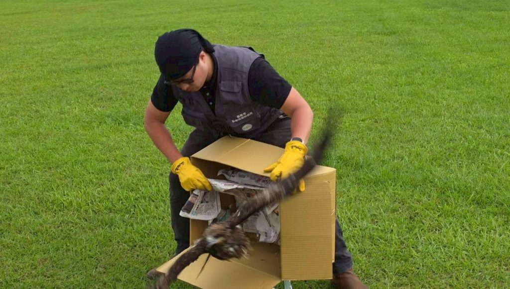 S 536469514 0 1024x581 1