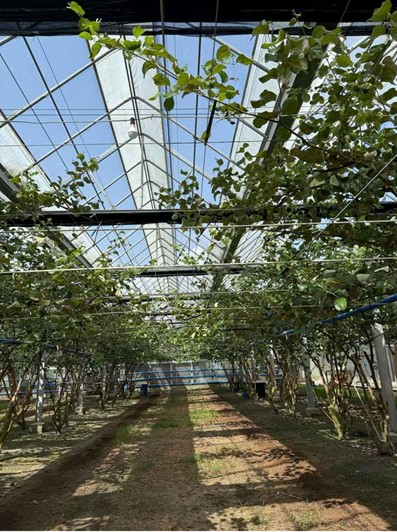 20260423204532 64565091