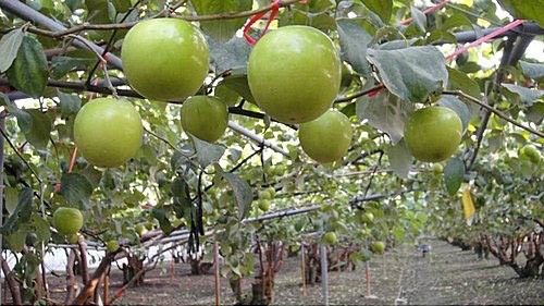 20260423204504 d8acf95c