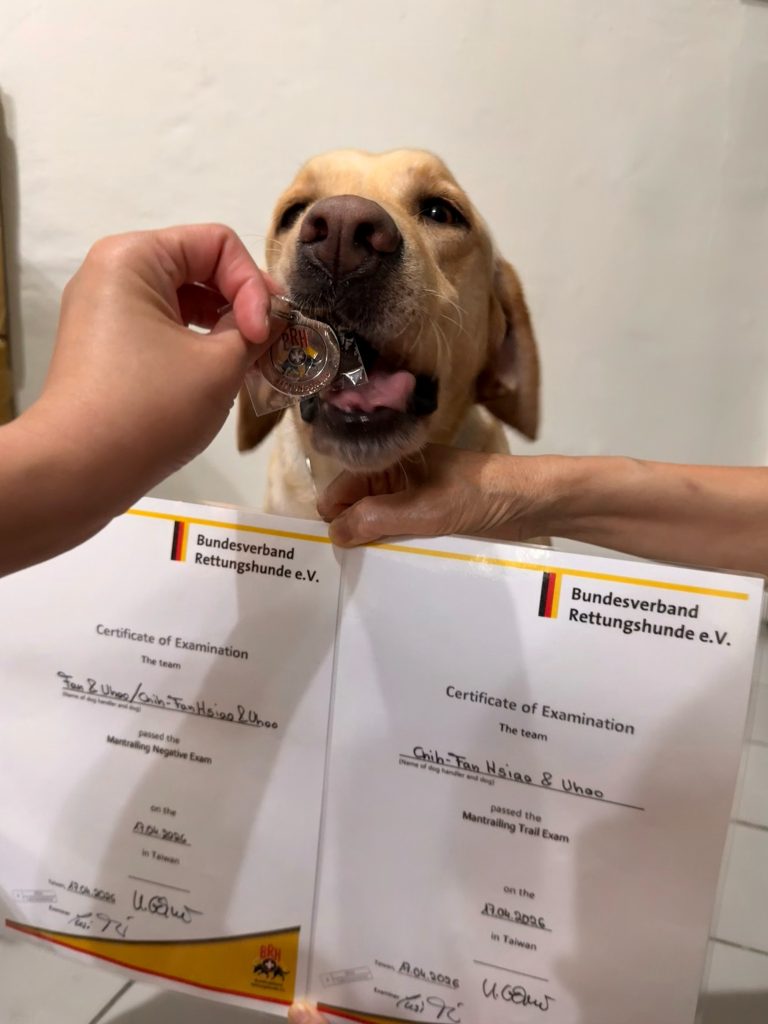 S 536756275 768x1024 1