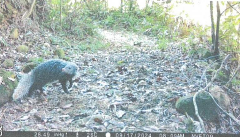 20260424153519 9e3b0520