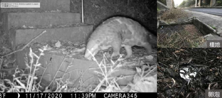 20260424153640 768c00f5