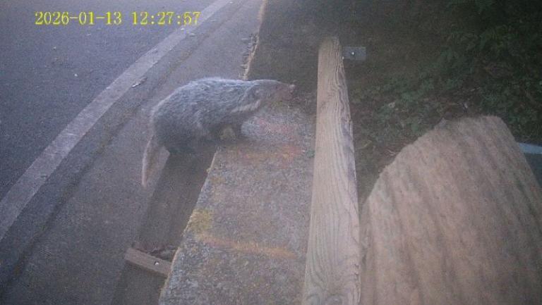 20260424191025 35d4cd37