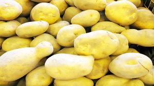 cfc52c14a27ea08c0bbbb3f23026aa5b 300x169 1 1