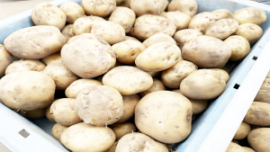 525e70d20d1080a295076e6a26cea17c 300x169 2