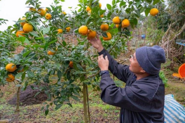 20260429181507 618b696e