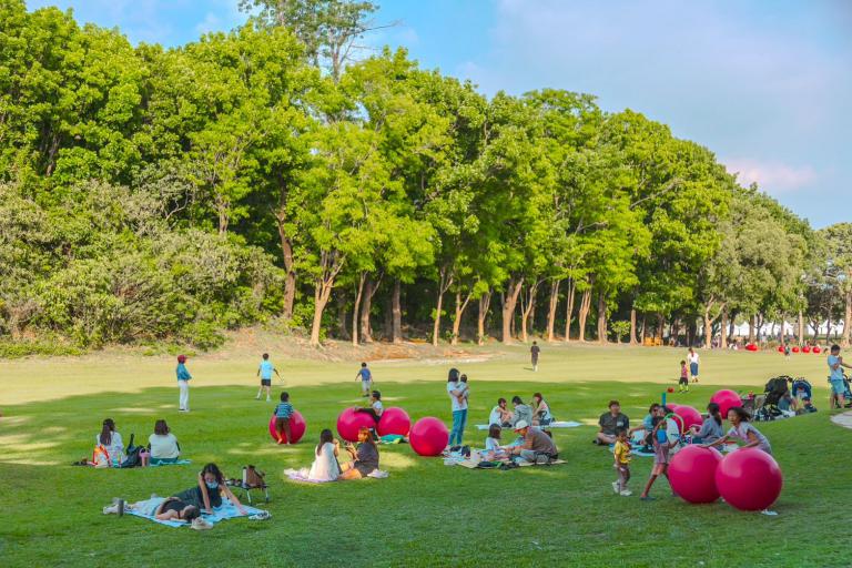 20260429224206 275d7943