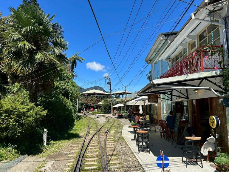 阿里山賓館「涼夏禮遇」迎賓 奢華觀光列車慢遊世界級地景 6 20260511151555 29c1925d