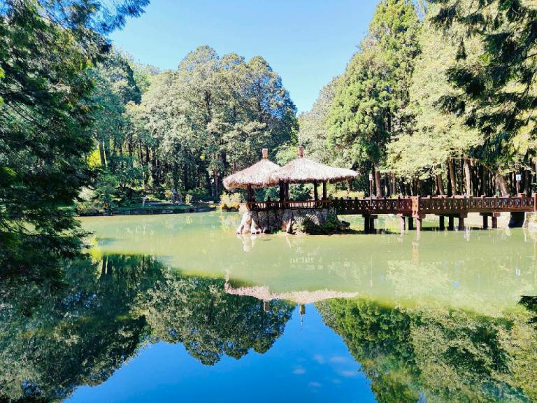 阿里山賓館「涼夏禮遇」迎賓 奢華觀光列車慢遊世界級地景 7 20260511151612 56459fbf