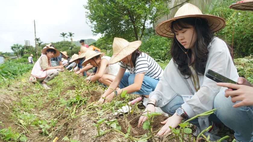 《圖說》學生於「汪汪地瓜圓-農場漫遊記」課程實地體驗植物種植的樂趣。〈環保局提供〉