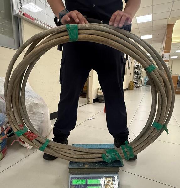f 29539526 1