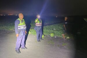 玉警護瓜添插曲 山羌野兔頻出沒 彷彿指引警方巡田水 12 MEITU 20260529 105704112 300x200 1